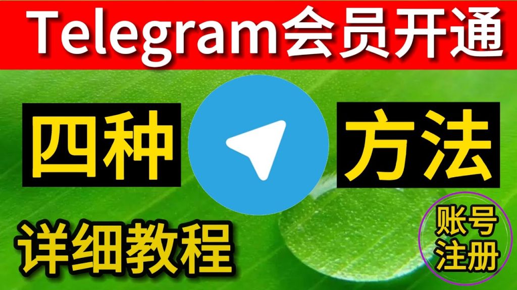 Telegram 会员开通步骤全解析：官方充值、苹果/安卓订阅与常见问题一次讲清