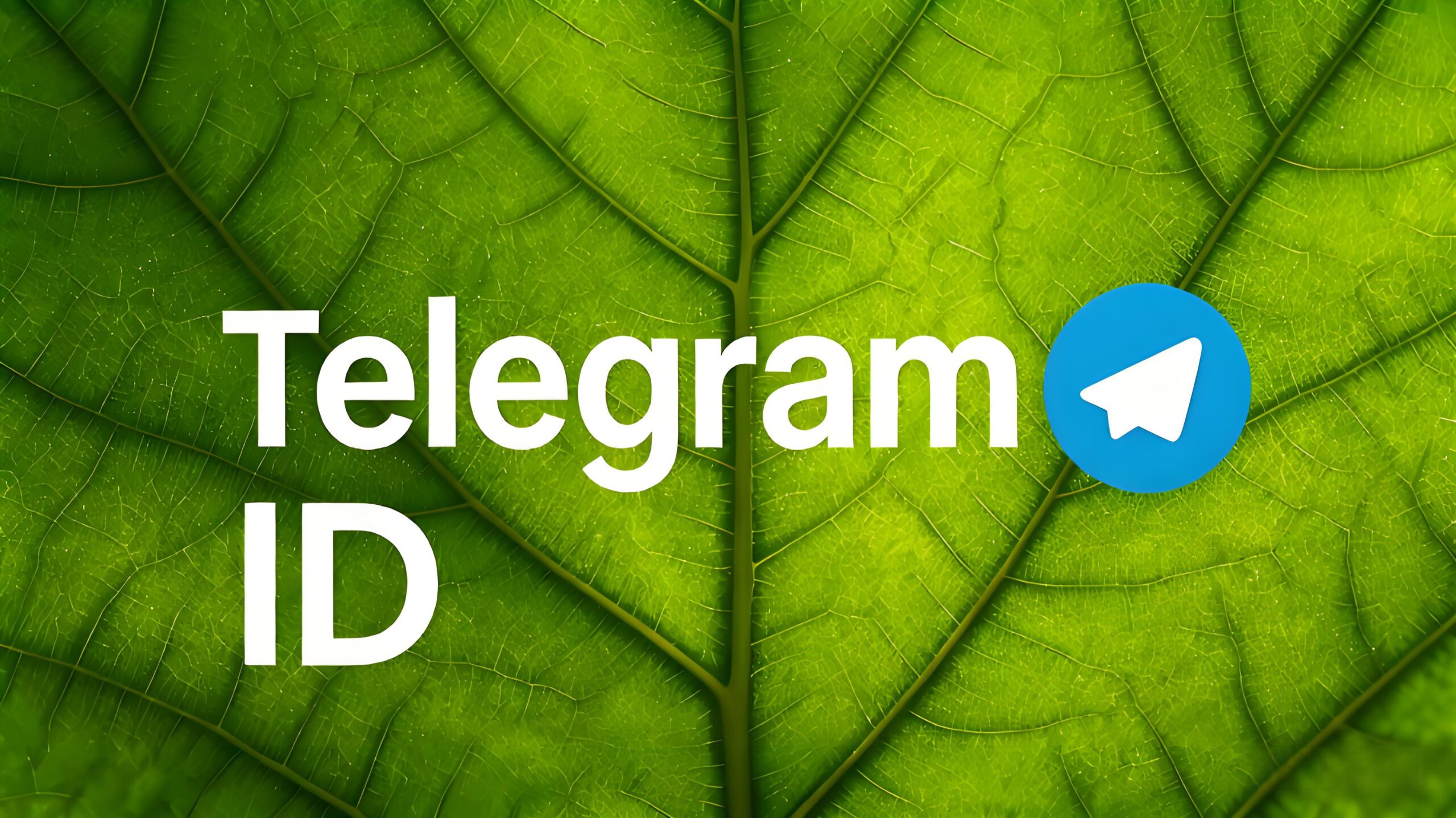 Telegram ID vs 使用者名稱：功能差異、隱私影響與常見誤會完整解析